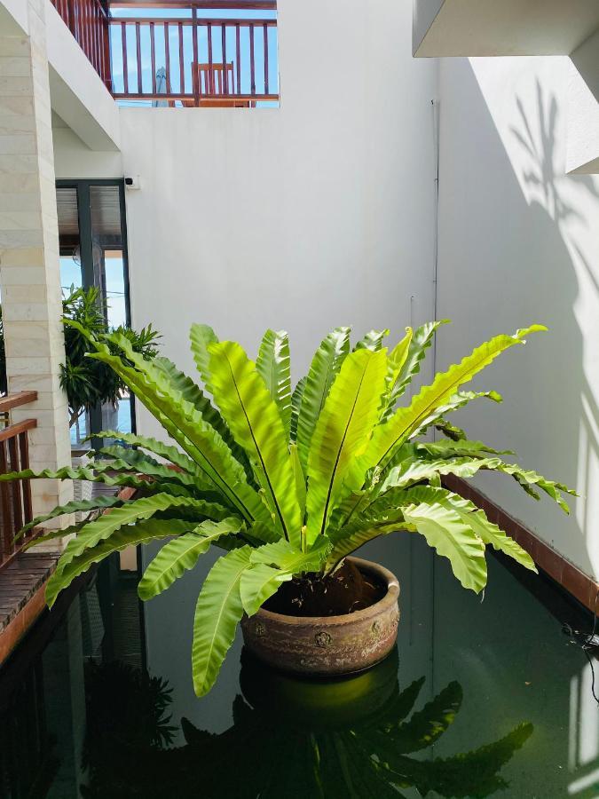 Vivian Hotel Mui Ne Dış mekan fotoğraf